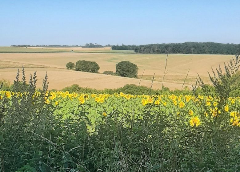 Collines et Vallons